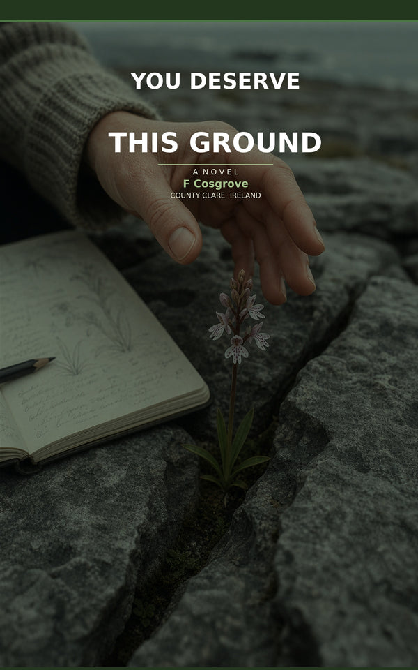 You Deserve This Ground