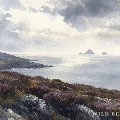 Bray Head — View of the Skelligs