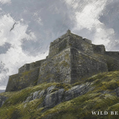 Charles Fort, Kinsale
