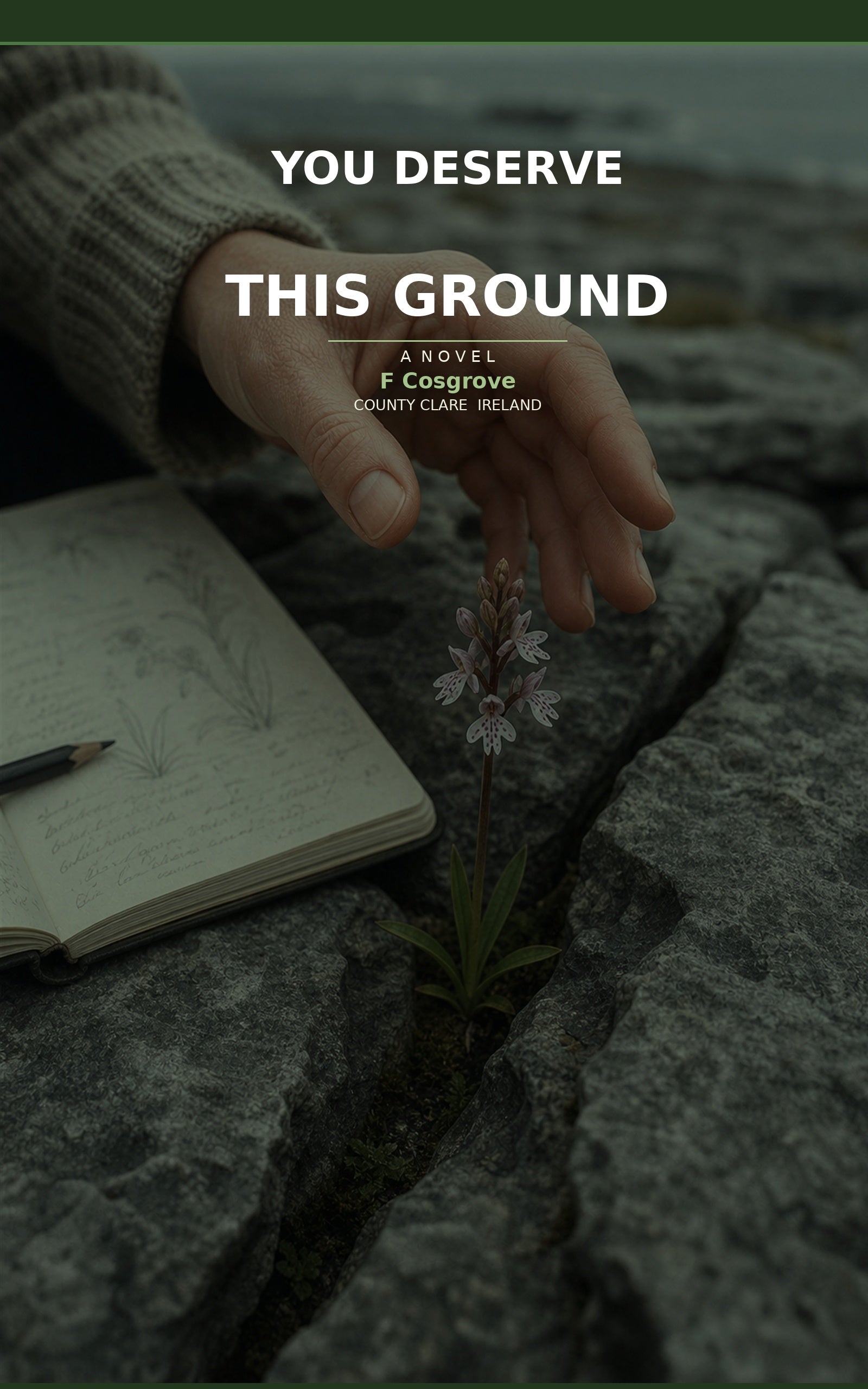 You Deserve This Ground — cover