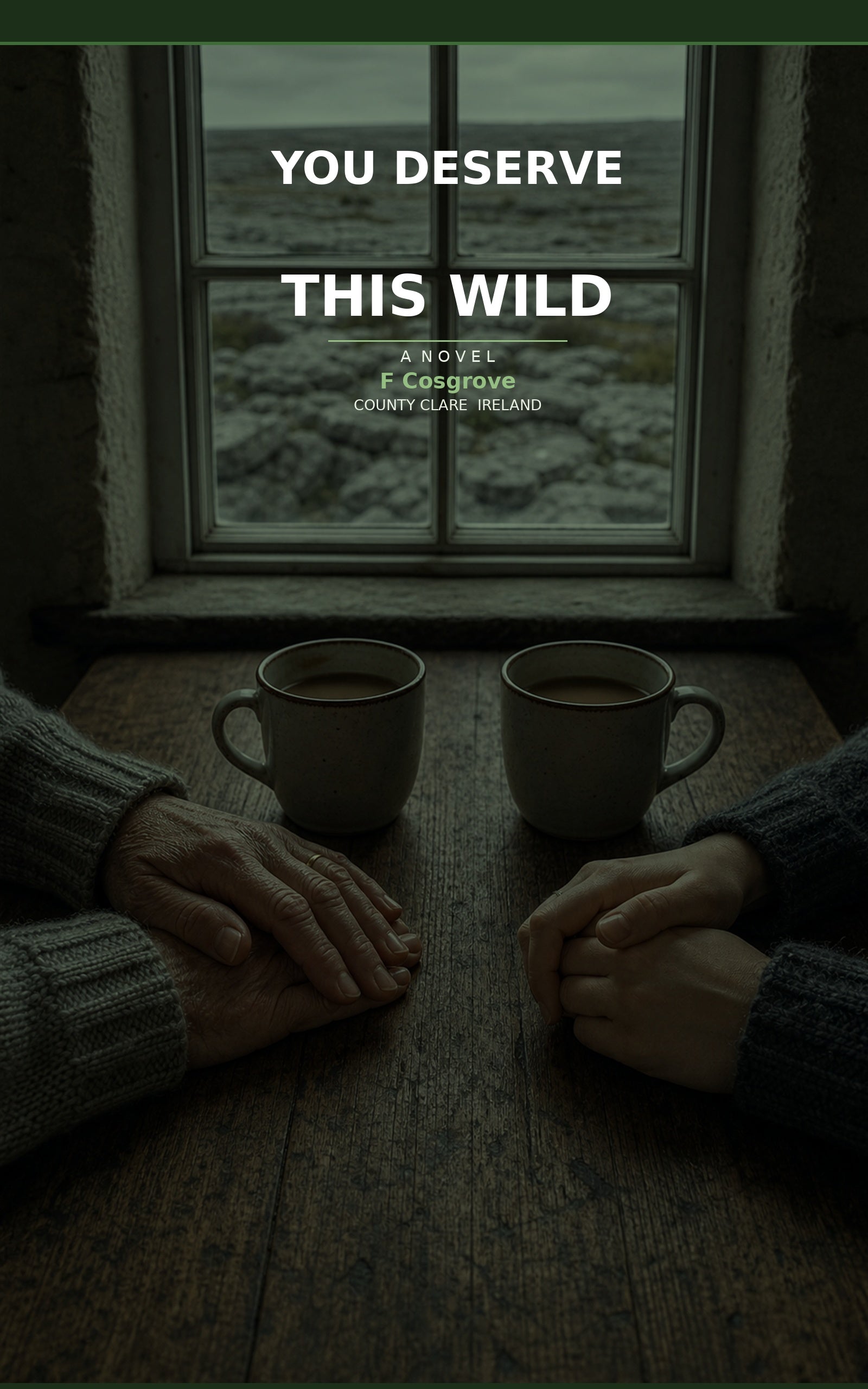 You Deserve This Wild — cover