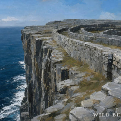 Dún Aonghasa, Inis Mór