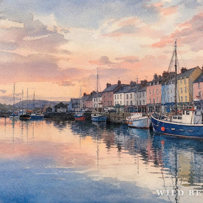Kinsale Harbour, Evening