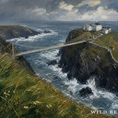 Mizen Head