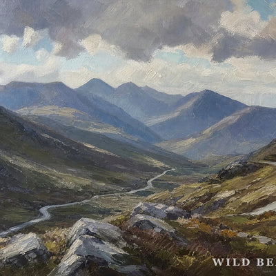 Moll's Gap